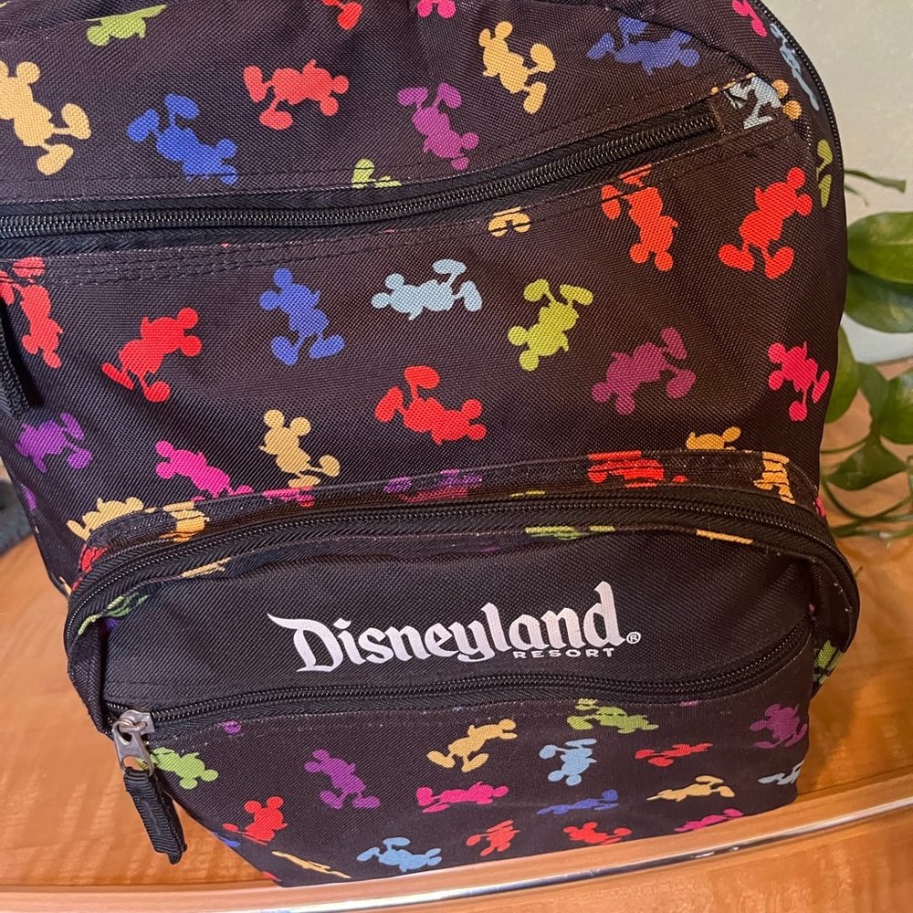 Disneyland backpack